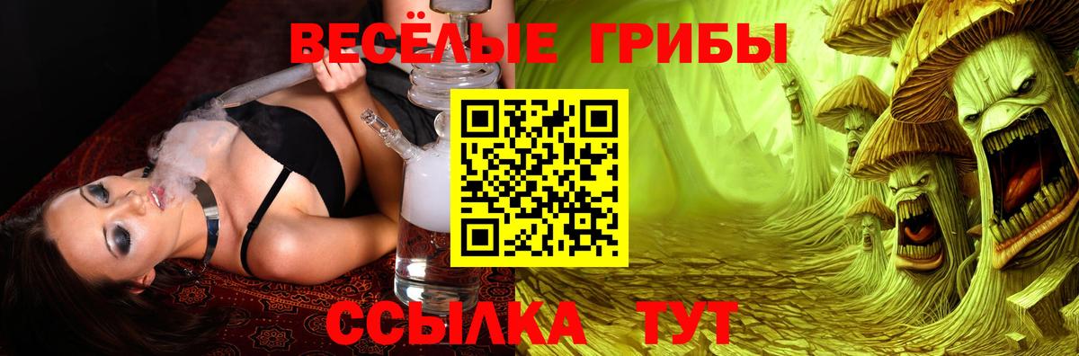 Псилоцибиновые грибы Psilocybe Орск